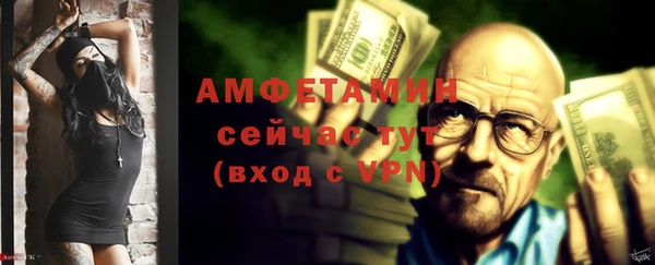 хмурый Магас