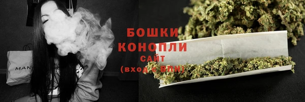 хмурый Магас