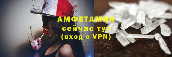 хмурый Магас