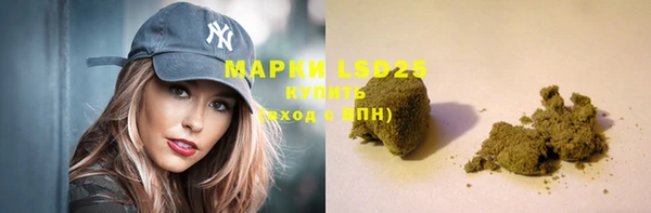 хмурый Магас