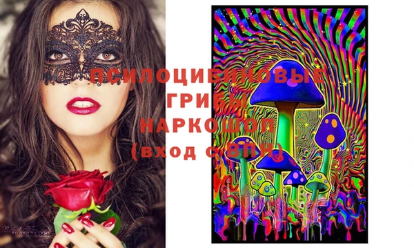 хмурый Магас