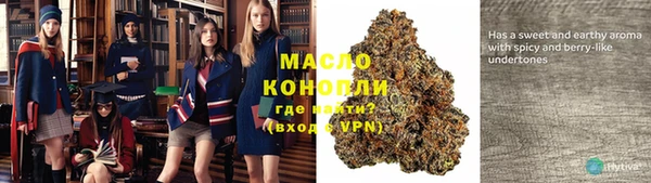 хмурый Магас