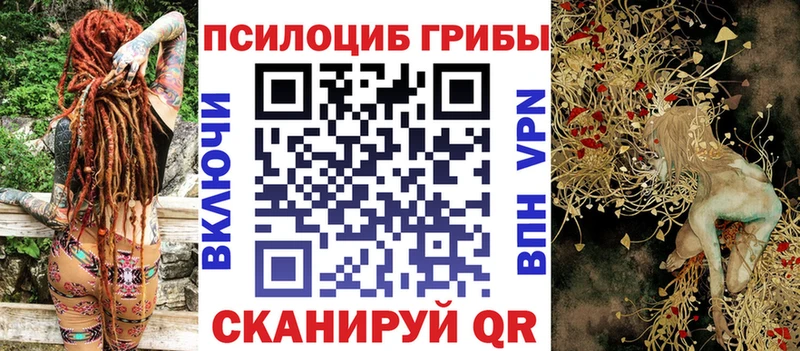 Псилоцибиновые грибы Psilocybine cubensis  Купить где  Лесозаводск 
