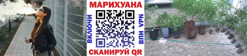 Купить где  Лесозаводск  Шишки марихуана SATIVA & INDICA 